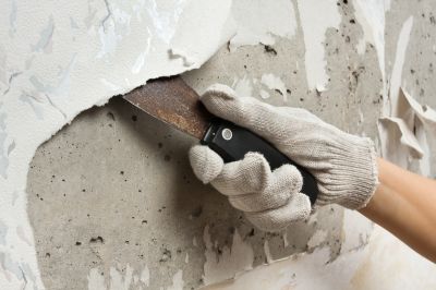 Expert Handling Wallpaper Tools
