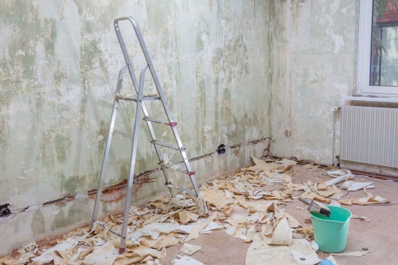 Wallpaper Removal Service in Denver, CO