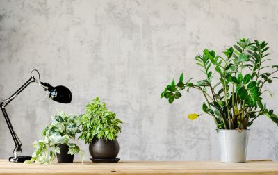 Wallpapering Service in Conroe, TX